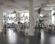 Images Analysis – Screaming Frog