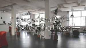 Images Analysis – Screaming Frog