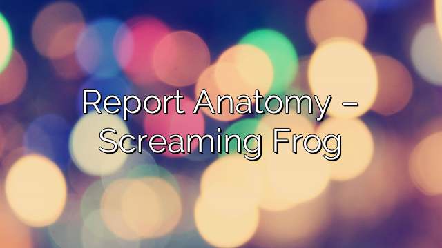 Report Anatomy – Screaming Frog