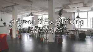 Amazon & Ebay Pricing Strategies