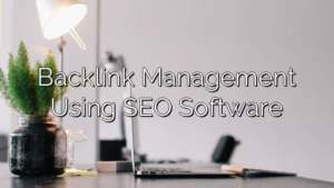 Backlink Management Using SEO Software