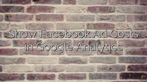 Show Facebook Ad Costs in Google Analytics
