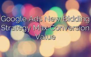 Google Ads New Bidding Strategy Max Conversion Value