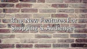 Bing New Features For Shopping & Audiences