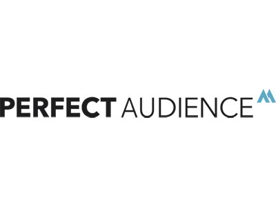 Perfect Audience Google Data Studio Connectors - Learn Digital Advertising