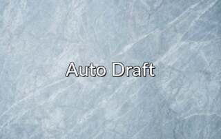 Auto Draft